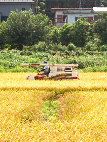 軽井沢町の農業生産法人設立